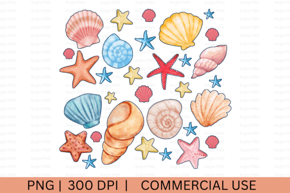 Summer Sea Shells PNG: Graphics for Crafts & Design